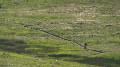 Mountain biker riding in a trail