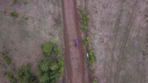 Aerial view of a rural road in the middle of green endless meadows