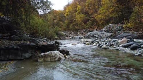 Mountain river water flow with red and yellow trees autumn foliage aerial view