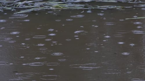 Light rain falling on surface of lake. Winter. UK