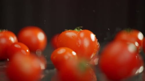 Fresh Red Tomatoes with Water Droplets on Surface