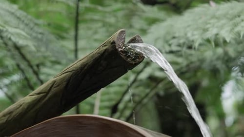 Traditionelles Wasserrad aus Holz, das sich in einem grünen Park dreht
