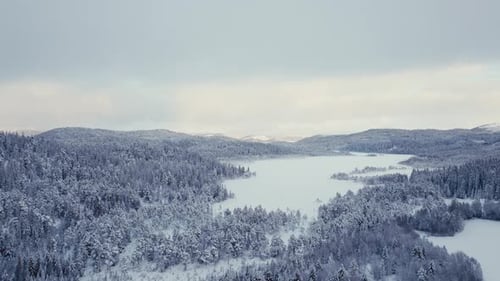 Snowscape Over Mountain Forest Lake After Winter Snowstorm. Aerial Drone Shot