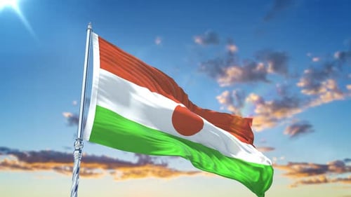 Dynamic Realistic Flag of Niger Waving in the Wind