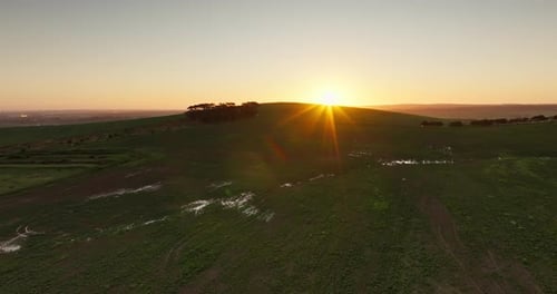 Meadow, nature and landscape for environment outdoor with sustainable morning