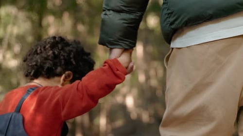 Little Boy Holding Father's Hand Walking in Forest Together