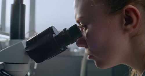 Scientist Works with Microscope in Bright Laboratory