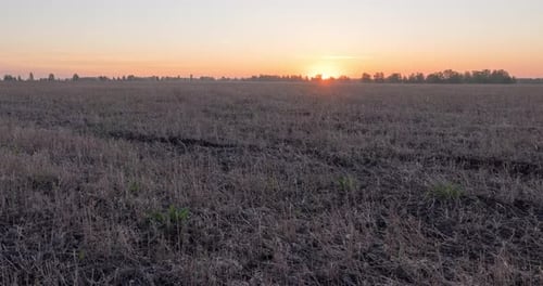 Flat Hill Meadow Timelapse at the Summer Sunrise Time Wild Nature and Rural Grass Field Sun Rays and