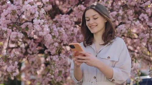 Caucasian Young Woman Using Smartphone While Standing Near Bloom Sakura Tree