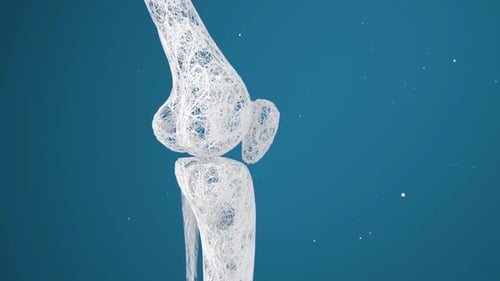 Abstract 3D Wireframe Human Knee Joint Rotating Animation