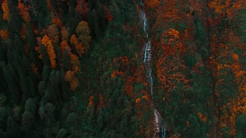 Autumn Trees and Waterfall