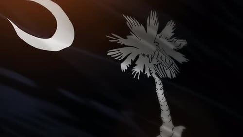 Waving South Carolina State Flag with Palmetto and Crescent