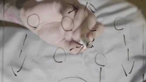 Football Coach Using a Black Marker to Draw Soccer Tactics on Glass
