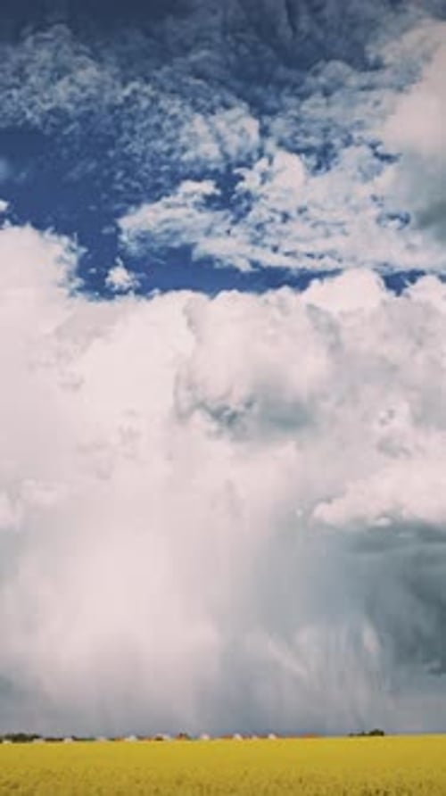 Timelapse of Yellow Field Under Shifting Storm Clouds