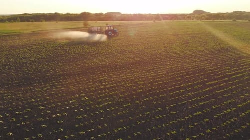 Aerial View Above Beautiful Agricultural Fields in Summer Sunrise or Sunset Irrigation Watering and