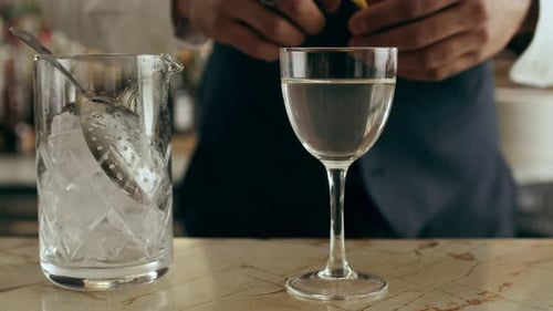 Bartender expertly garnishing a classic martini cocktail in a trendy modern bar