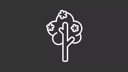 Flat Design Blooming Tree Line Art Animation