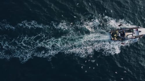 Fishing Vessel Boat Floating in the Blue Sea Aerial View From Drone