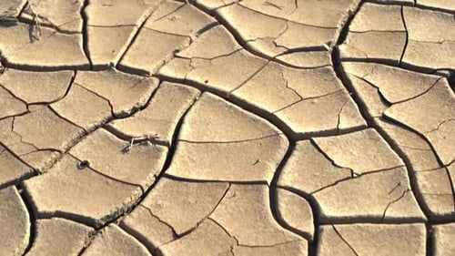 Fondo de tierra seca agrietada: calor, sequía, concepto de cambio climático