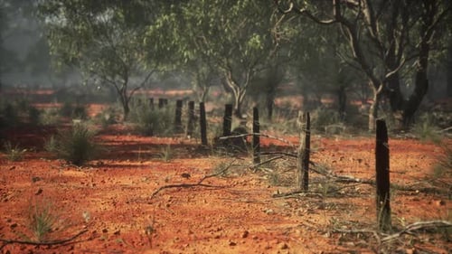 Red Desert Outback Bushland with Old Barbed Wire Fence