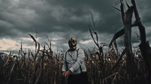 Halloween Killer in a Cornfield