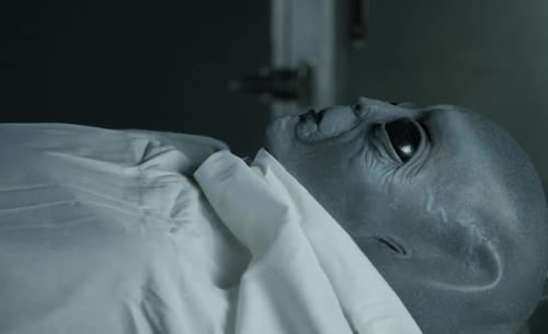 Area 51 Alien Autopsy - visitor looks at the camera