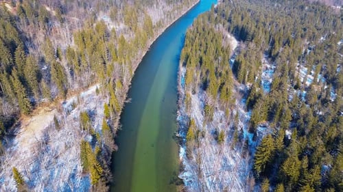 Aerial view of a winding river flowing through a snow-covered evergreen forest in winter, showcasing