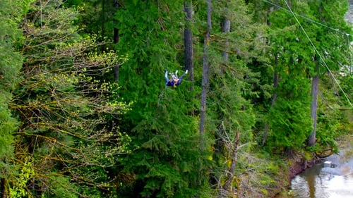 Bungee-Jumping-Abenteuer mit Freunden inmitten der üppigen Wälder von Vancouver Island