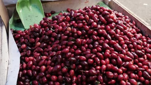 Ripe Red Dogwood Berries are in a Box on the Market Counter