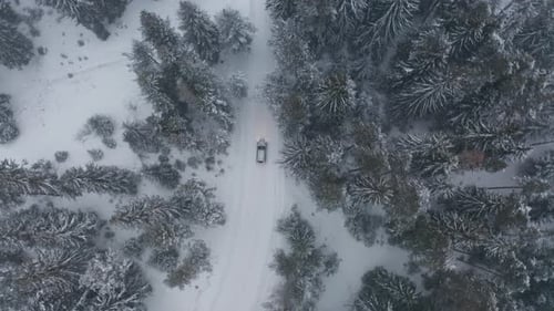 Malerischer verschneiter Wald mit einem Auto auf einer kurvigen Straße