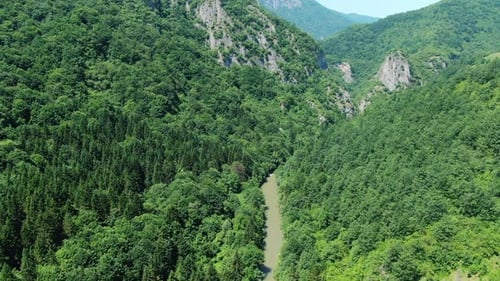 A river flows through a valley surrounded by green trees Some rocks are visible in the mountains