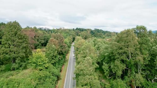Tracking and tilting down over car on forest road surrounded by lush trees