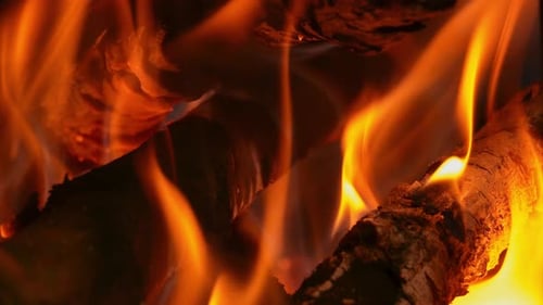 Camp Fire (4K)