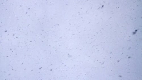 Starker Schneefall vom bewölkten Himmel, abstrakter Hintergrund, vertikales Video, schleifbar