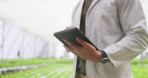 Greenhouse, tablet and research with closeup, man and typing with industry
