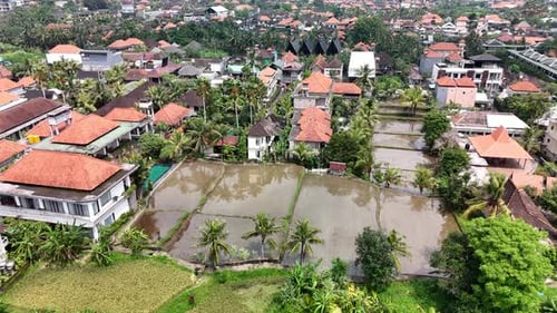 Aerial View of Tropical Ubud Village in Bali