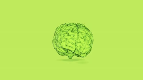 Brain Green