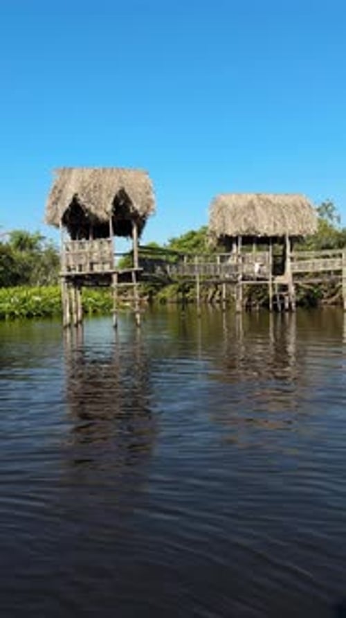 Makeshift wooden houses on stilt poles in river wetland, vertical shot