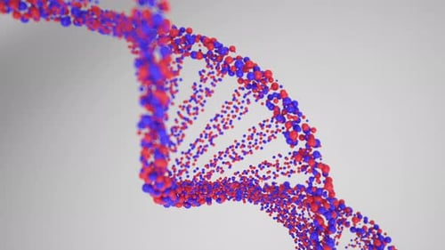Animated DNA Helix Structure Particle Loop