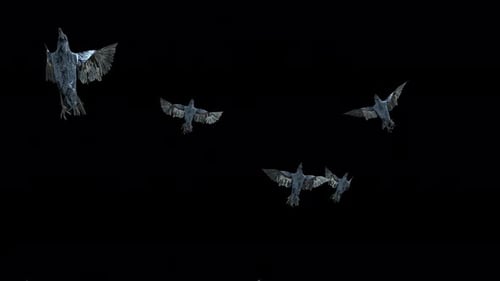 Animated 3D Crows Flying Seamless Loop