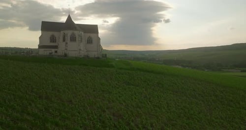Vineyard Landscape Vineyard of France Champagne Aerial Drone Shot of Sunny Vineyard at Sunrise