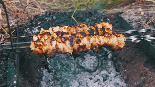 Kebabs mit Hühnchen werden auf dem Feuer der Natur zubereitet