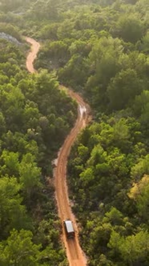 Vertical Video SkyHigh Splendor Luxurious Car Exploring the Mysteries of the Green Forest Cinematic