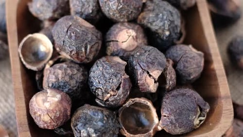 Haufen Waschnuss für ökologisches Waschen. Rohe Aritha- oder Reetha-Früchte, auch bekannt als Waschnüsse, die