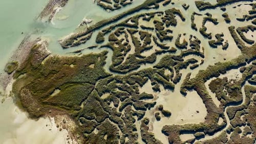 Reserva natural com biodiversidade em Ile-de-Ré, França