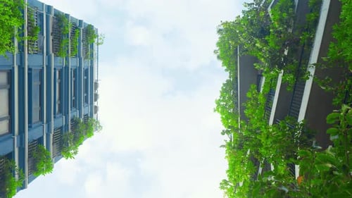 Jardines verticales en edificios modernos: concepto de construcción ecológica