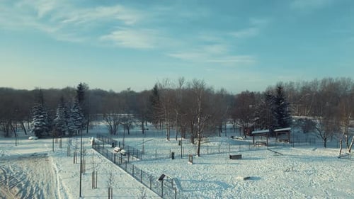 Drohne fliegt im Winter über dem Park. Filmmusik Drohnen-Winteraufnahmen