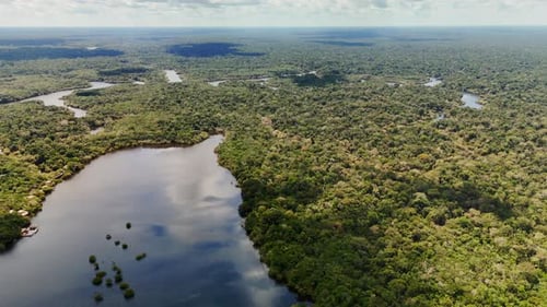 Lush Green Rainforest River Aerial View