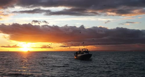 Fishing boats coming back to the harbour at sunset, France