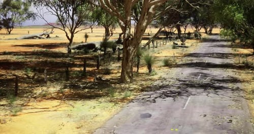 View of a Quiet Rural Road Surrounded By Trees and Grasslands in the Afternoon